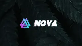 Даркнет маркетплейс Nova