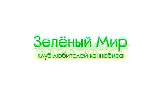 Даркнет маркетплейс Зеленый Мир